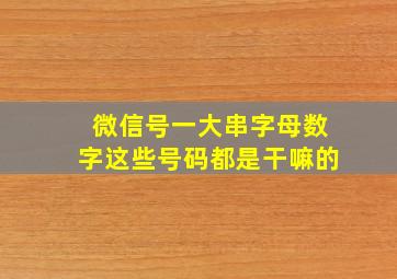 微信号一大串字母数字这些号码都是干嘛的