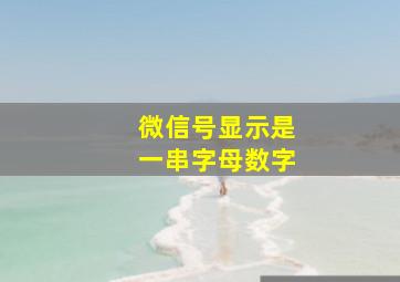 微信号显示是一串字母数字