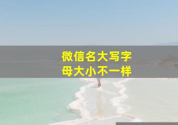 微信名大写字母大小不一样