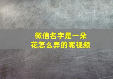 微信名字是一朵花怎么弄的呢视频