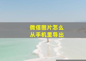 微信图片怎么从手机里导出