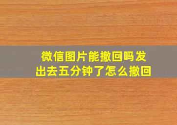 微信图片能撤回吗发出去五分钟了怎么撤回