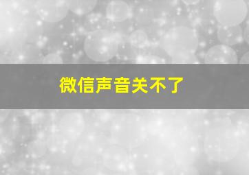 微信声音关不了