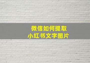 微信如何提取小红书文字图片