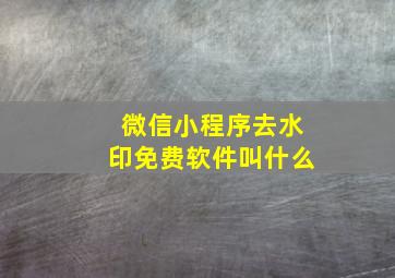 微信小程序去水印免费软件叫什么