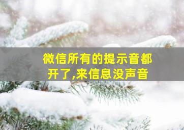 微信所有的提示音都开了,来信息没声音