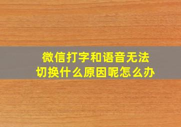 微信打字和语音无法切换什么原因呢怎么办