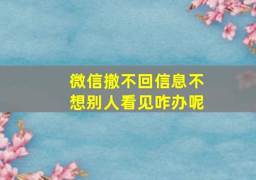 微信撤不回信息不想别人看见咋办呢