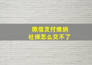 微信支付缴纳社保怎么交不了