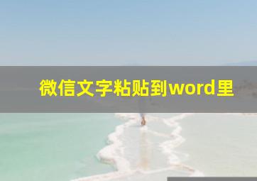 微信文字粘贴到word里