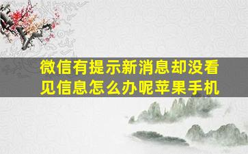 微信有提示新消息却没看见信息怎么办呢苹果手机