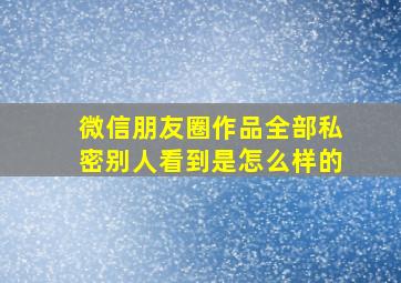 微信朋友圈作品全部私密别人看到是怎么样的