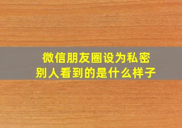 微信朋友圈设为私密别人看到的是什么样子