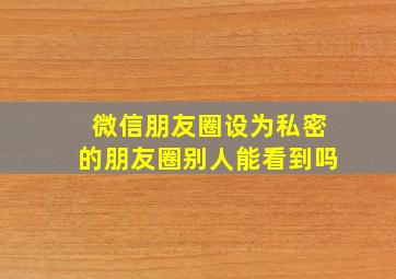 微信朋友圈设为私密的朋友圈别人能看到吗