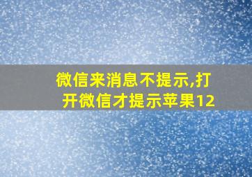 微信来消息不提示,打开微信才提示苹果12