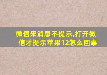 微信来消息不提示,打开微信才提示苹果12怎么回事