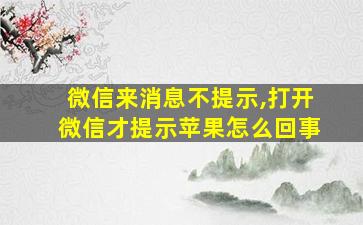 微信来消息不提示,打开微信才提示苹果怎么回事