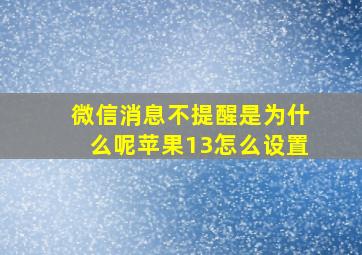 微信消息不提醒是为什么呢苹果13怎么设置