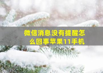 微信消息没有提醒怎么回事苹果11手机