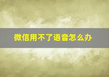 微信用不了语音怎么办