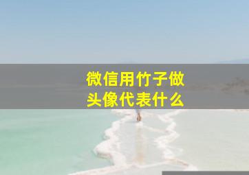 微信用竹子做头像代表什么