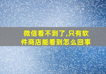 微信看不到了,只有软件商店能看到怎么回事