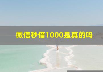 微信秒借1000是真的吗