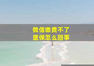 微信缴费不了医保怎么回事