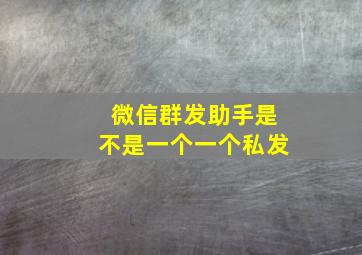 微信群发助手是不是一个一个私发