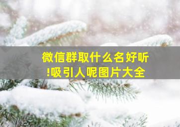 微信群取什么名好听!吸引人呢图片大全