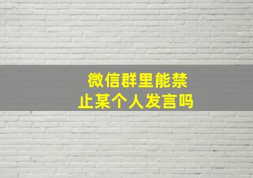 微信群里能禁止某个人发言吗