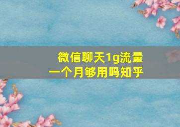 微信聊天1g流量一个月够用吗知乎