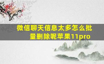 微信聊天信息太多怎么批量删除呢苹果11pro