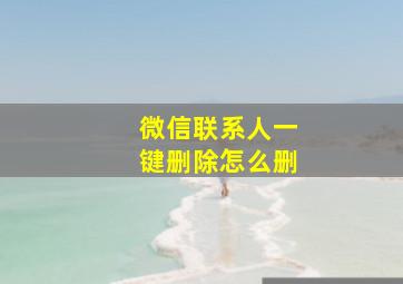 微信联系人一键删除怎么删