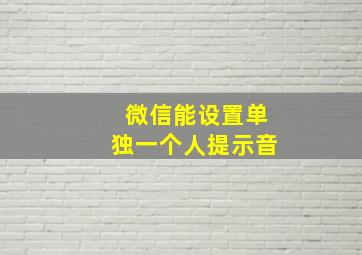 微信能设置单独一个人提示音