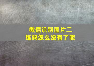 微信识别图片二维码怎么没有了呢