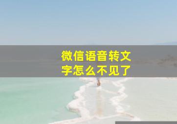 微信语音转文字怎么不见了