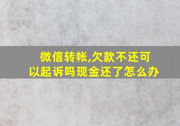 微信转帐,欠款不还可以起诉吗现金还了怎么办