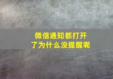 微信通知都打开了为什么没提醒呢