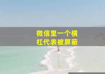 微信里一个横杠代表被屏蔽