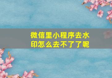 微信里小程序去水印怎么去不了了呢