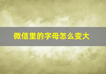 微信里的字母怎么变大