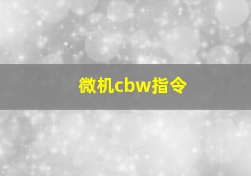 微机cbw指令