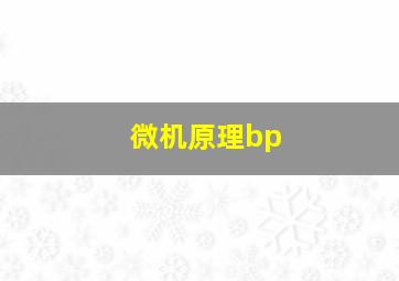 微机原理bp