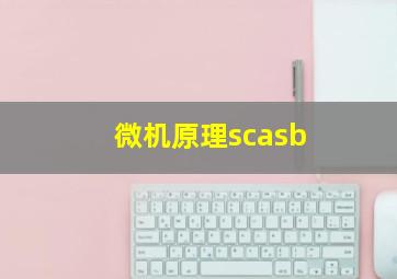 微机原理scasb