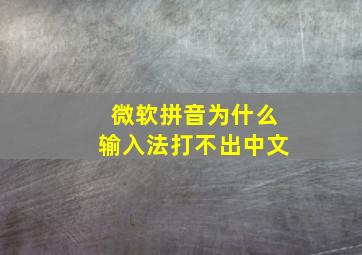 微软拼音为什么输入法打不出中文