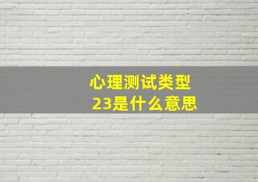 心理测试类型23是什么意思