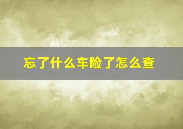 忘了什么车险了怎么查