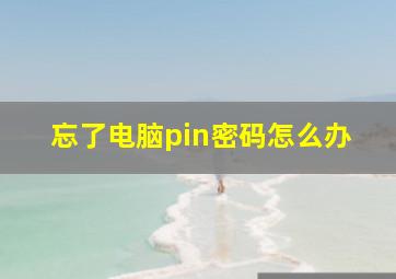 忘了电脑pin密码怎么办