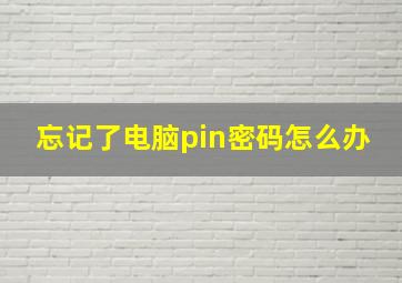 忘记了电脑pin密码怎么办